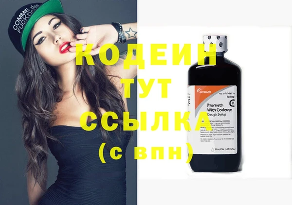 спиды Корсаков