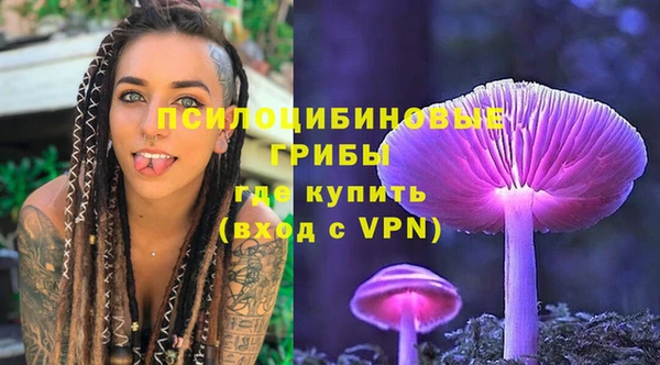 спиды Корсаков