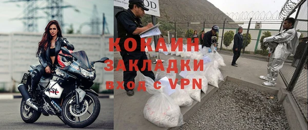 шишки Козельск