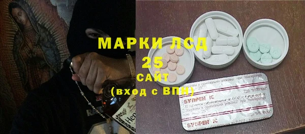 ГАЛЛЮЦИНОГЕННЫЕ ГРИБЫ Кодинск