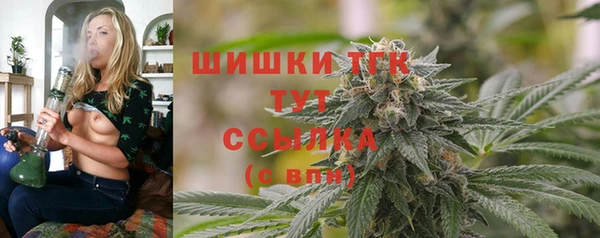первитин Коряжма