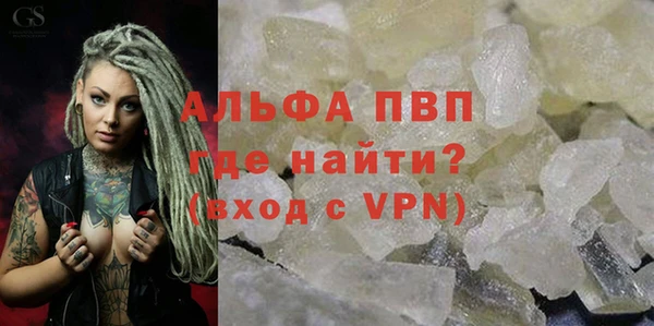 спиды Корсаков