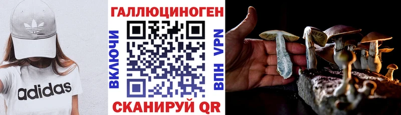 Псилоцибиновые грибы Psilocybine cubensis  Тверь 
